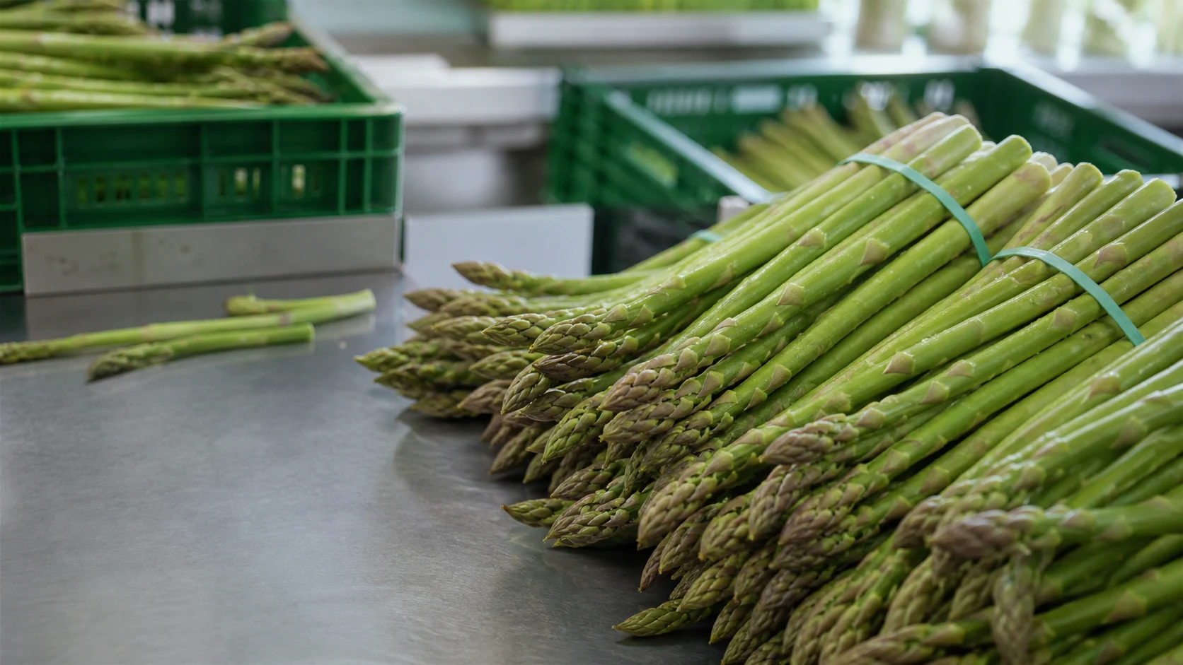 Asparagus