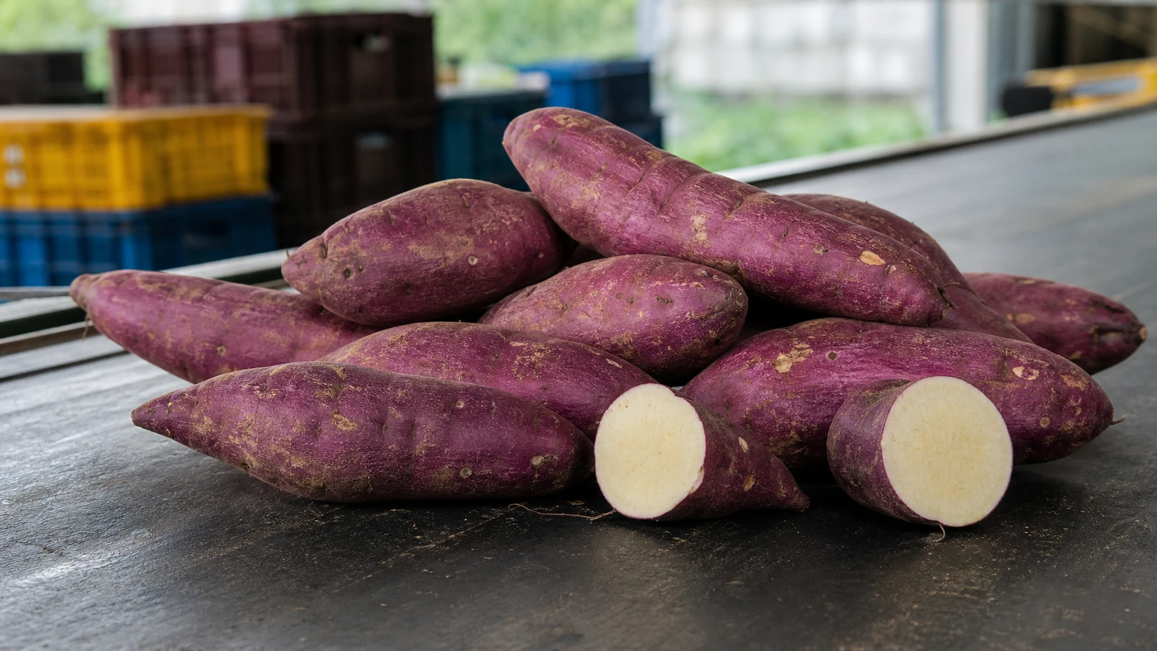 Murasaki Sweet Potatoes